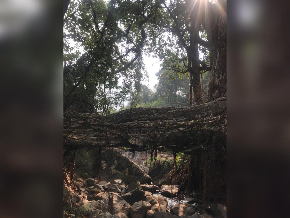Living Roots Lodge Cherrapunji Exteriör bild