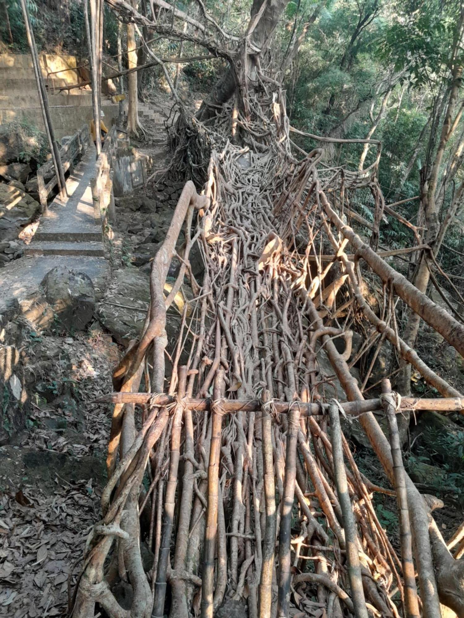 Living Roots Lodge Cherrapunji Exteriör bild